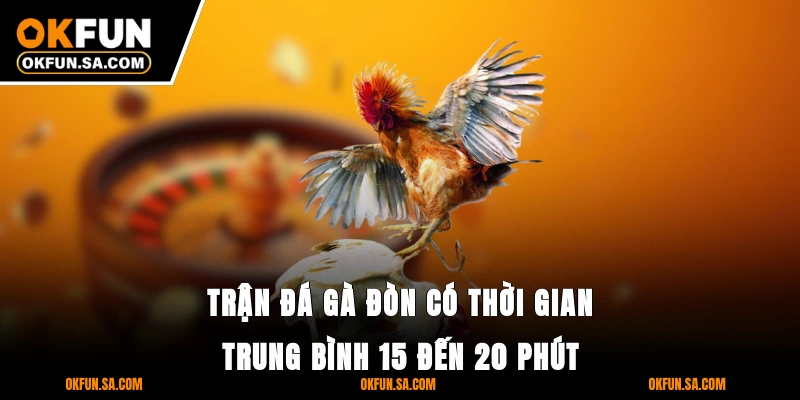 Đá Gà OKFUN 2 Trận đá gà đòn có thời gian trung bình 15 đến 20 phút